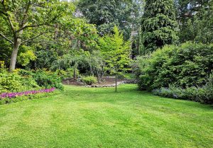 Optimiser l'expérience du jardin à Serreslous-et-Arribans