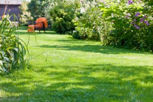 travaux jardin et paysage Serreslous-et-Arribans